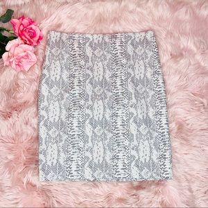 Ann Taylor Pencil Skirt